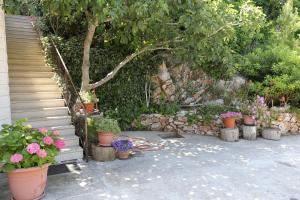 Fotografie z fotogalerie ubytování Apartments by the sea Trstenik, Peljesac - 10110 v Trsteniku