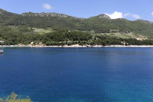 Fotografie z fotogalerie ubytování Apartments by the sea Trstenik, Peljesac - 10110 v Trsteniku