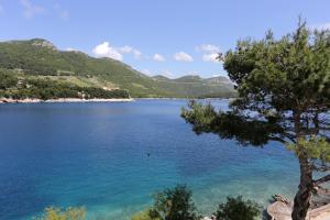Fotografie z fotogalerie ubytování Apartments by the sea Trstenik, Peljesac - 10110 v Trsteniku