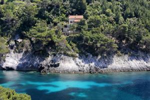Zdjęcie z galerii obiektu Secluded fisherman's cottage Cove Bacva, Korcula - 9475 w Korčuli