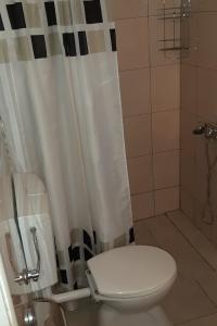 a bathroom with a toilet and a shower at Seaside holiday house Cove Vela Prapratna (Peljesac) - 9486 in Oskorušno