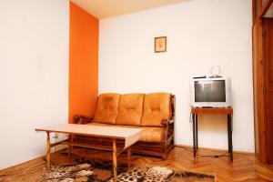 Holiday apartments Split - 10315 في سبليت: غرفة معيشة مع أريكة بنية وتلفزيون