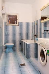 ein Badezimmer mit einer Waschmaschine und einem WC in der Unterkunft Apartments by the sea Cove Pjestata, Peljesac - 10236 in Blaževo