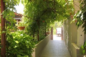 Ein Garten an der Unterkunft Holiday house with a parking space Orebic, Peljesac - 10165