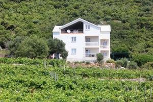 庫奇施泰的住宿－Apartments with a parking space Kuciste - Perna, Peljesac - 10161，山顶上的白色房子