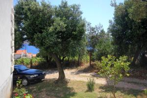 Zahrada ubytování Apartments with a parking space Kuciste - Perna, Peljesac - 10161