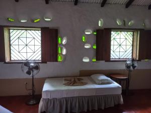 a bedroom with a bed and two windows with green mirrors at Finca Mystica in Mérida
