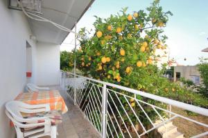 Fotografie z fotogalerie ubytování Apartment Orebic 10256b v destinaci Orebić