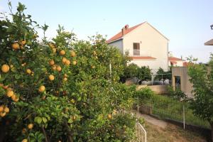Fotografie z fotogalerie ubytování Apartment Orebic 10256b v destinaci Orebić