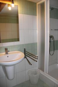 La salle de bains est pourvue d'un lavabo et d'une douche. dans l'établissement The Pirklalm, à Pruggern
