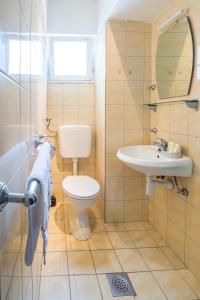 y baño con aseo y lavamanos. en Apartment Zuronja 10134b, en Brijesta