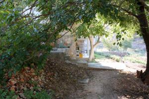 Vonkajšia záhrada v ubytovaní Apartments by the sea Basina, Hvar - 9673