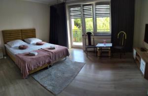 sypialnia z łóżkiem i dużym oknem w obiekcie Willa Gorzow-spokojna okolica! w mieście Gorzów Wielkopolski