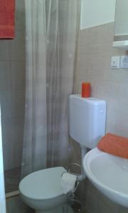 ein Badezimmer mit einem weißen WC und einem Waschbecken in der Unterkunft Apartments with a parking space Kastel Kambelovac, Kastela - 11755 in Kaštela