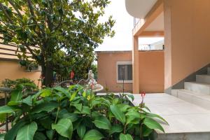 Fotografie z fotogalerie ubytování Apartments with a parking space Podaca, Makarska - 11748 v destinaci Podaca