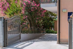 Fotografie z fotogalerie ubytování Apartments with a parking space Podaca, Makarska - 11748 v destinaci Podaca