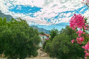 Fotografie z fotogalerie ubytování Apartments with a parking space Podaca, Makarska - 11748 v destinaci Podaca