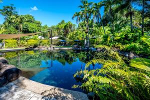 einen Pool in einem tropischen Garten mit Palmen in der Unterkunft Eco Village Mission Beach in Mission Beach