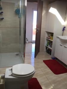 ein Bad mit einem WC, einer Dusche und einem Waschbecken in der Unterkunft Apartments by the sea Lun, Pag - 11781 in Lun