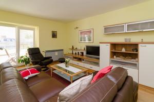 ein Wohnzimmer mit Sofa und Fernseher in der Unterkunft Apartments with parking space Nin, Zadar - 11900 in Nin