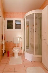 ein Badezimmer mit Toilette und Dusche in der Unterkunft Apartments with parking space Nin, Zadar - 11900 in Nin