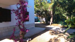 Zahrada ubytování Seaside holiday house Mokalo, Peljesac - 12137