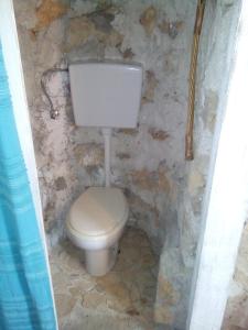La salle de bains est pourvue de toilettes et d'un mur en pierre. dans l'établissement Secluded fisherman's cottage Radelj, Murter - 12155, à Murter