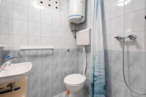 La salle de bains est pourvue de toilettes, d'un lavabo et d'une douche. dans l'établissement Apartments by the sea Basina, Hvar - 11817, à Vrbanj