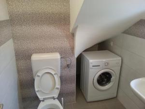 ein Badezimmer mit einem WC und einer Waschmaschine in der Unterkunft Apartments with a parking space Zadar - 12203 in Zadar
