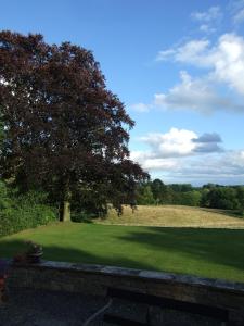 a large grass field with a tree in the background at Woodlands Bed & Breakfast in Barnt Green