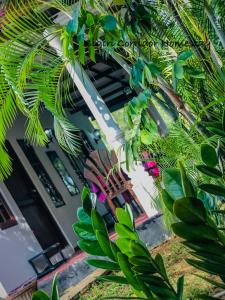 錫吉里亞的住宿－Sigiri Corridor Home Stay，一座拥有大量绿色植物的建筑