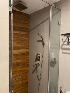 a shower with a glass door in a bathroom at Palmo Holiday Apartments in Kathmandu
