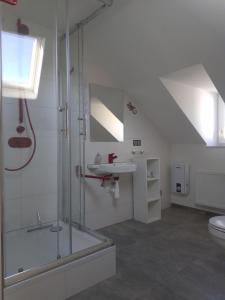 a bathroom with a glass shower and a sink at Ferienwohnung im roten Haus, die Therme ist fußläufig in 350m zu erreichen in Bad Ems