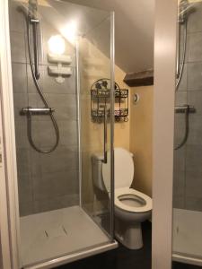 ヴェルトゥにあるDemeure du NID de la Créationのバスルーム(トイレ、ガラス張りのシャワー付)