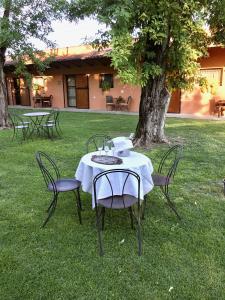 una mesa y sillas sentadas en la hierba bajo un árbol en Agriturismo La Dondina, en Budrio