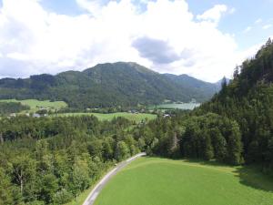 a view of a green field and a road at Ferienwohnung Seeberg mit Almfeeling in Faistenau