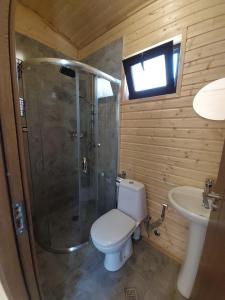 a bathroom with a shower and a toilet and a sink at Kazbegi Twins in Stepantsminda