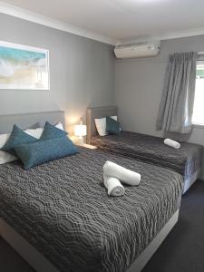 卧龙岗Solomon Inn Motel Figtree的一间卧室，有两张床，配有蓝色和白色的枕头
