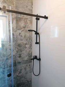 La salle de bains est pourvue d'une douche avec une porte en verre. dans l'établissement House Rhapsody In Blue, à Tkon