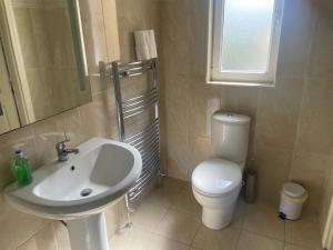 a bathroom with a sink and a toilet at 7B Riverside Villas in Kenmare