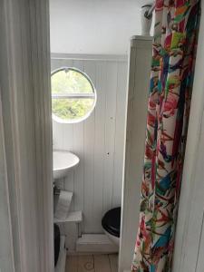 a bathroom with a toilet and a window at 2 Bed - Sleeps 2- Pets - Smoking - Parking in Exeter