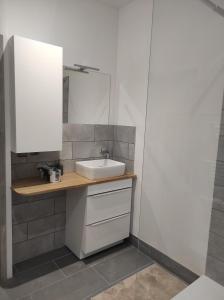 uma casa de banho com um lavatório e um espelho em Appartement au coeur de Marans em Marans