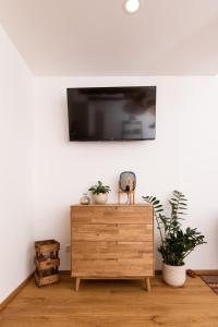 TV a/nebo společenská místnost v ubytování Ferienwohnungen in der alten Schnapsbrennerei Kolleritsch in Mureck