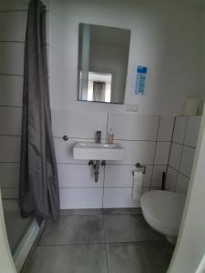 ein Badezimmer mit einem Waschbecken, einem WC und einem Spiegel in der Unterkunft Pension Asche in Münster