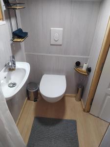 een kleine badkamer met een toilet en een wastafel bij LE NOYER DU BARON in Le Lauzet-Ubaye