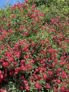 Gallery image of Casa Al Fianco - Brand new house with a breathtaking view in Petacciato