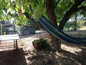 a hammock hanging from a tree in a park at Beit Shapira in Kefar Shammay