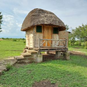 a small hut with a thatched roof in a field at Songbird Safari Lodge & Campsite in Katunguru