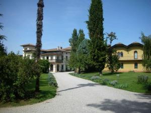 una finca con una palmera y un camino de entrada en Volpe Pasini - Wine and Rooms, en Togliano