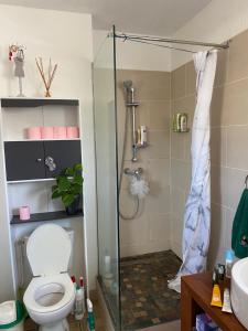 La salle de bains est pourvue d'une douche, de toilettes et d'un lavabo. dans l'établissement beau studio proximité plage, à La Saline les Bains